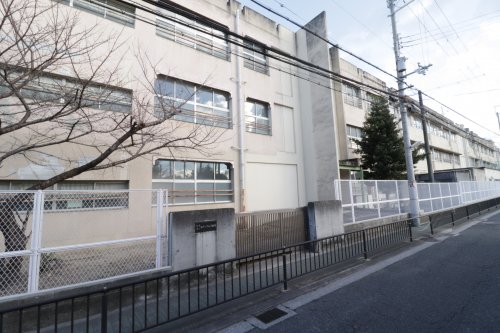 小学校　松原市立布忍小学校（小学校）まで896m