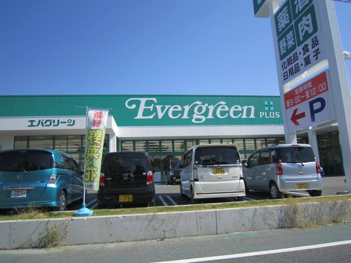 その他　エバーグリーン（その他）まで900m