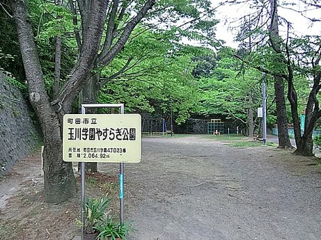 公園　やすらぎ公園（公園）まで520m
