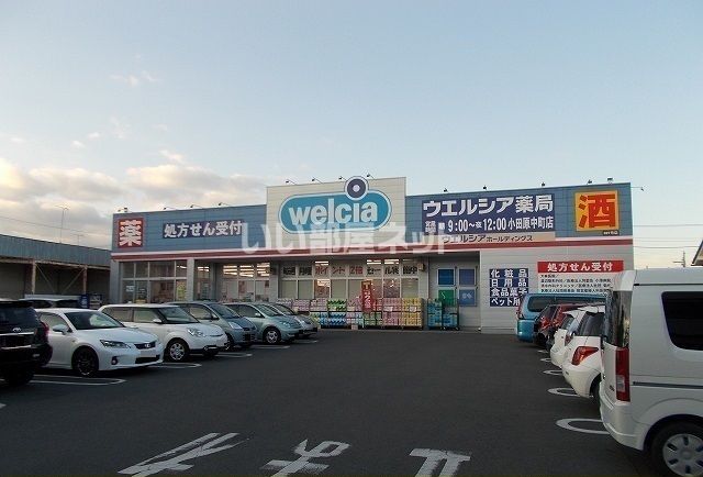 ドラックストア　ウエルシア小田原中町店（ドラッグストア）まで563m