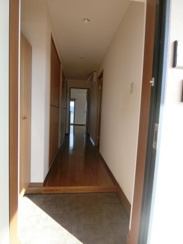 玄関　イメージ505号室の写真