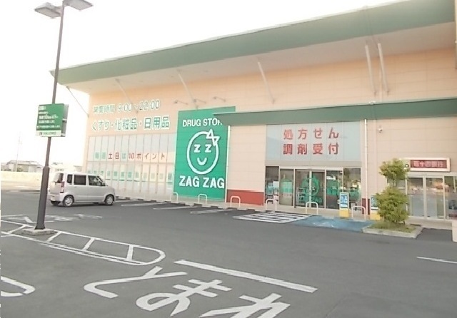 ドラックストア　ザグザグ仏生山店さん（ドラッグストア）まで800m