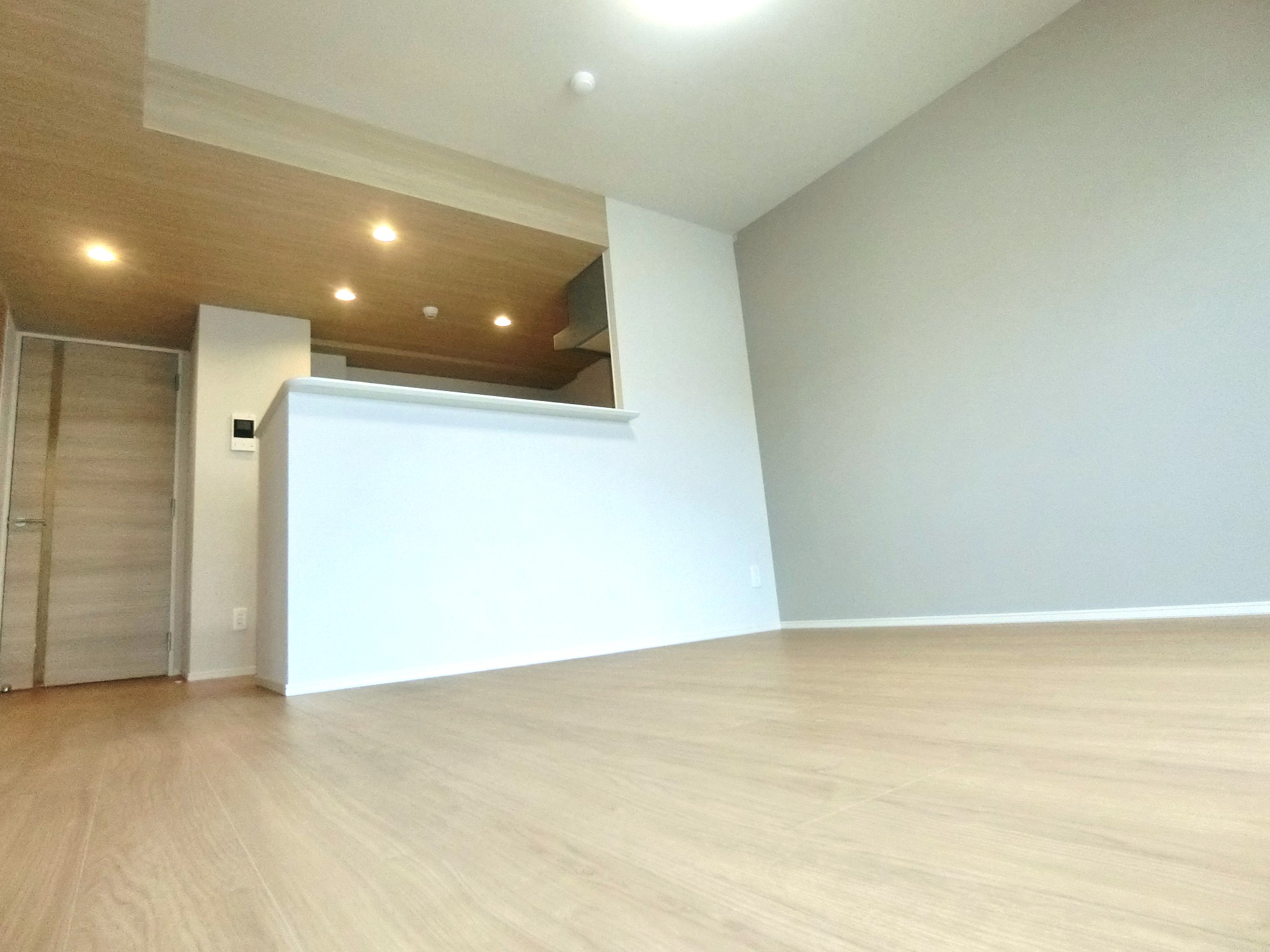 居室・リビング　カウンターキッチン・エアコン完備の広々としたリビングです☆