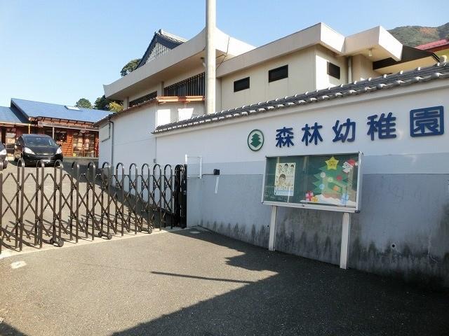 幼稚園・保育園　森林幼稚園（幼稚園・保育園）まで590m