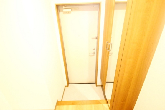 玄関　※別号室の写真です