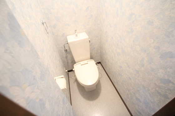 トイレ　※別号室の写真です