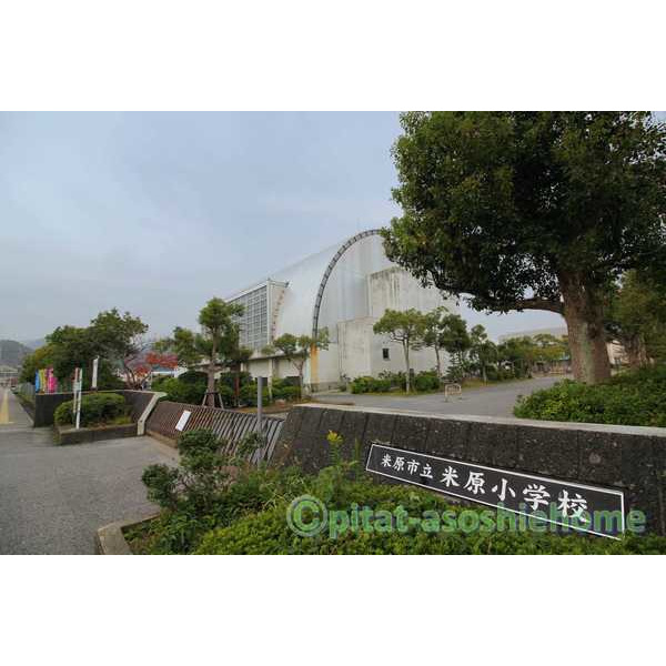 小学校　米原市立米原小学校（小学校）まで1566m