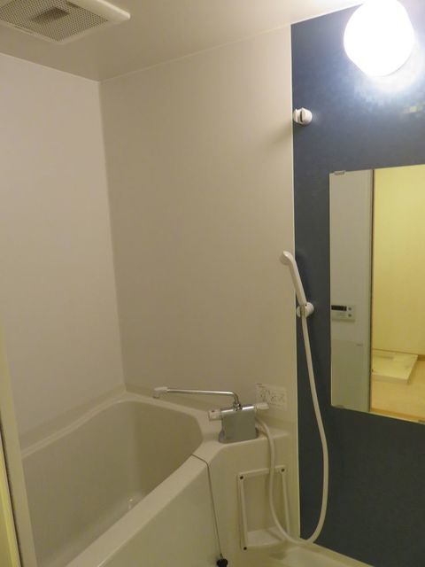 バス・シャワールーム　鏡・収納付浴室