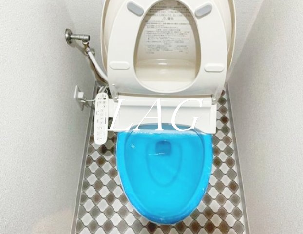 トイレ　トイレです。