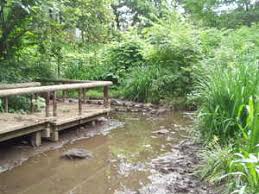 公園　旭町はんの木緑地（公園）まで492m