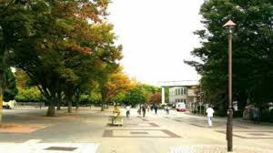 公園　都立光が丘公園北（公園）まで727m