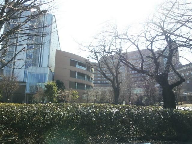 病院　国立成育医療センター（病院）まで700m