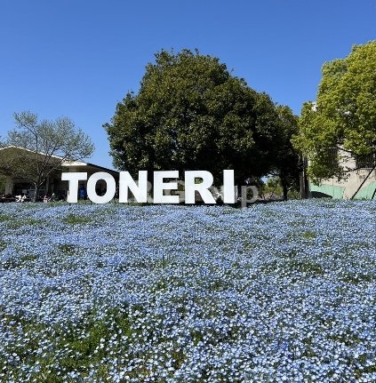 公園　舎人公園（公園）まで871m