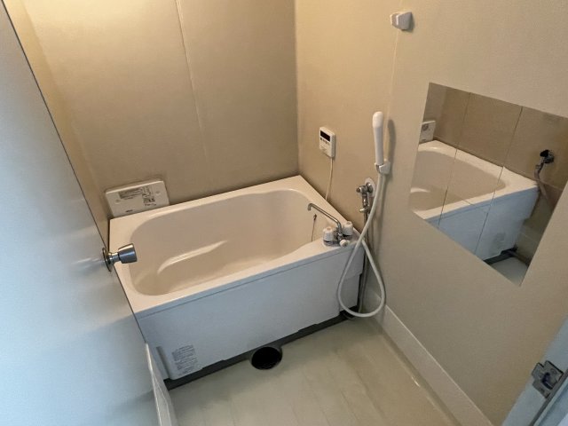 バス・シャワールーム　落ち着いた空間のお風呂です