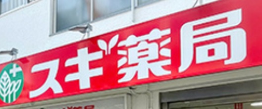 ドラックストア　スギ薬局葛飾白鳥店（ドラッグストア）まで738m