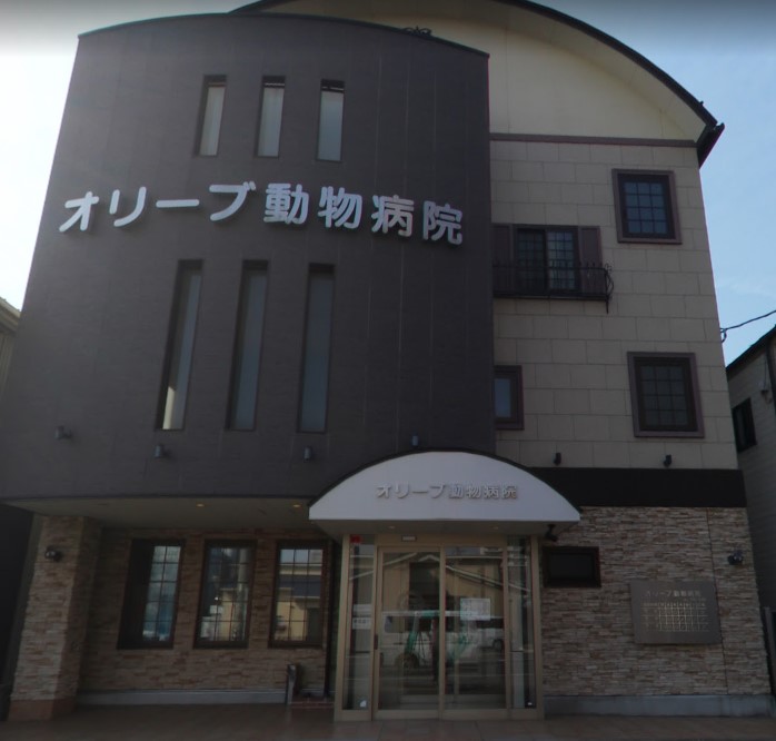 病院　オリーブ動物病院（病院）まで1100m