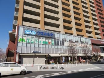 ドラックストア　ウエルシア河内花園駅前店（ドラッグストア）まで3312m