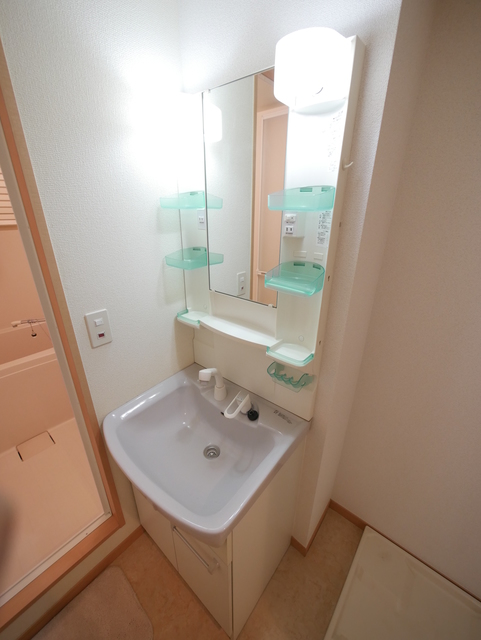 洗面設備　★人気の独立洗面台はシャワー付です★