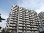 川口駅より徒歩9分 11階 築36年11ヶ月の賃貸物件