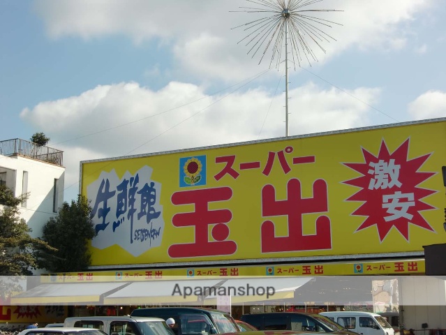 スーパー　スーパー玉出（スーパー）まで523m