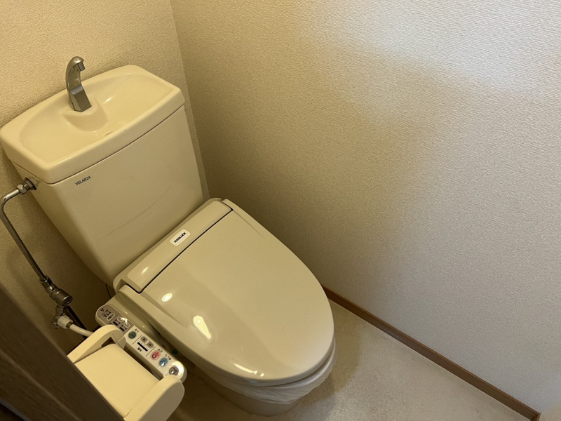 トイレ　シャンプードレッサー