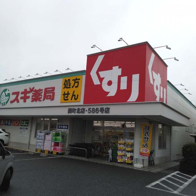 ドラックストア　スギ薬局関町北店（ドラッグストア）まで308m