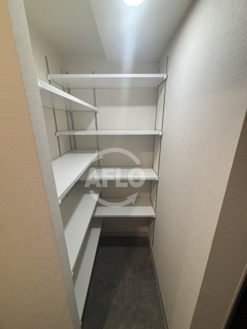 収納　ミラージュパレス天王寺堀越町　シューズボックス