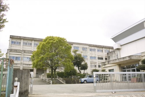 小学校　三ツ池小学校（小学校）まで1052m
