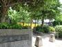 公園　本田東公園★（公園）まで315m