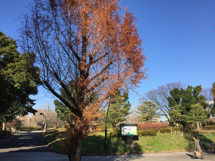 公園　猿江恩賜公園（公園）まで270m