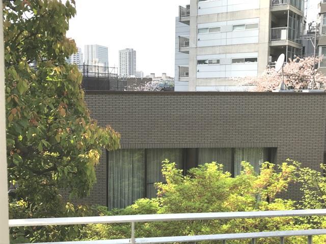 眺望　眺望
