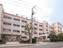 中学校　葛飾区立大道中学校（中学校）まで379m
