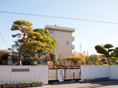 中学校　上尾市立南中学校（中学校）まで1517m