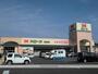 スーパー　ハローズ住吉店（スーパー）まで714m