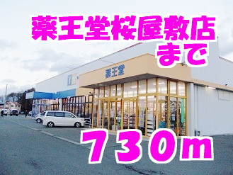 ドラックストア　薬王堂水沢桜屋敷店（ドラッグストア）まで730m