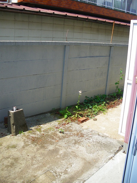 アンジュのその他写真