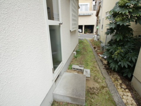 庭