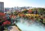 その他　ホテル椿山荘東京（その他）まで1107m