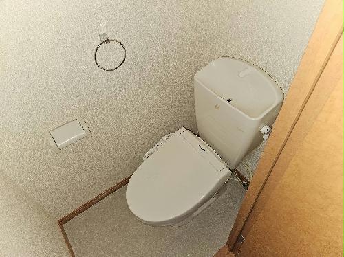 トイレ　備品や設備仕様は号室等により異なります現地をご確認下さい。
