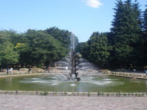 公園　世田谷公園（公園）まで768m