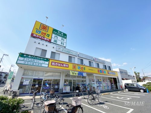 ドラックストア　どらっぐぱぱす本一色店（ドラッグストア）まで794m