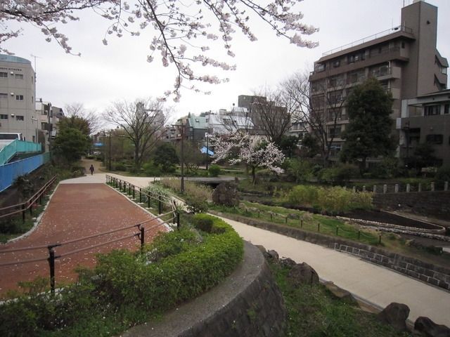 公園　大横川親水公園（公園）まで245m