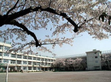 中学校　練馬区立石神井中学校（中学校）まで1151m