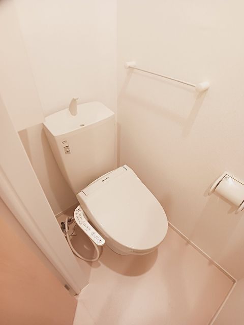 ＪＲ仙石線 陸前山下駅 徒歩29分 2階建 築9年のトイレ写真
