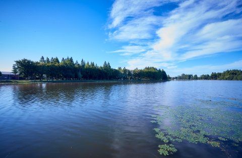 その他　水元公園 01