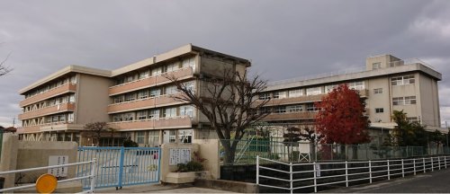 小学校　平福小学校（小学校）まで773m