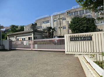 小学校　川崎市立南原小学校（小学校）まで1013m