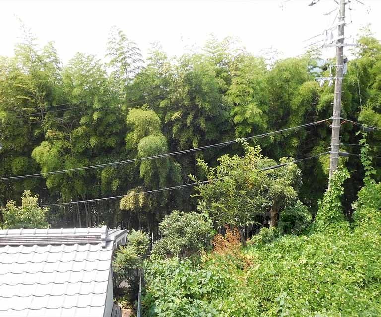 眺望　室外風景