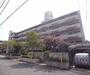 メゾン高野 4階 築42年7ヶ月の賃貸物件