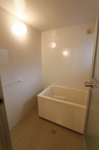 バス・シャワールーム　※同建物・別号室の写真です